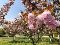 -杭州城北体育公园