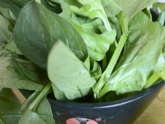 菠菜-口袋鸭砂煲火锅(解放路店)