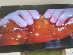 -紫光园·烤鸭(吕家营店)