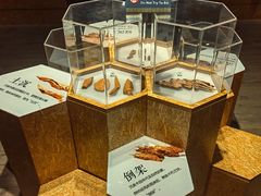 -香市公园-中国沉香文化博物馆