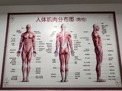 -龙脊堂龙氏推拿 整脊(陆家浜店)
