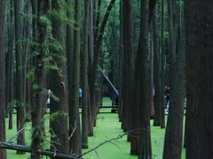 -青山湖景区