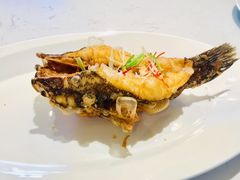 笋壳鱼-翠府(翠湖北路店)