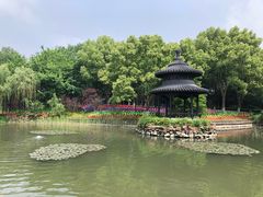景点-天目湖山水园