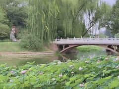 -皇家御河游(紫御湾码头)