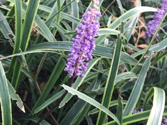 -白塘生态植物园