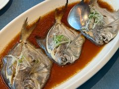 -闽海肴(北辰荟店)