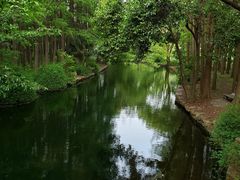 -上海共青森林公园