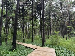 -长春净月潭风景名胜区