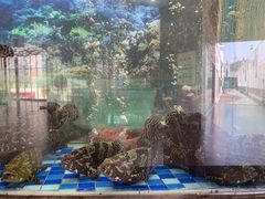 -圣丰盛宴酒家(东城店)