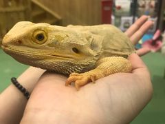 -藦茜花园宠物主题亲子互动体验馆(国顺东路店)