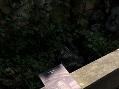 -松云泽