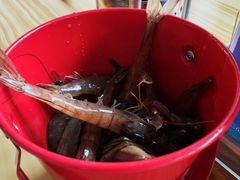 -佰园全日西餐厅-厦门佰翔软件园酒店