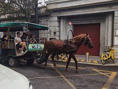 -泰达航母主题公园