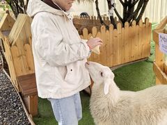 -HERRE·FARM 赫尔露营农场·团建聚会包场