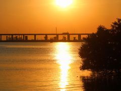 -宝安西湾红树林湿地公园