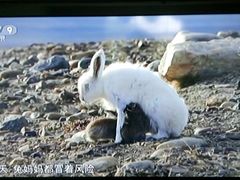 -欢乐驿站量贩式KTV(西丽店)