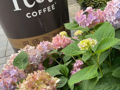 -Peet's Coffee皮爷咖啡(大学路店)