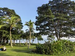 -深圳湾公园(南山区)