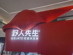-野人先生现做冰淇淋(北京王府井东方新天地店)