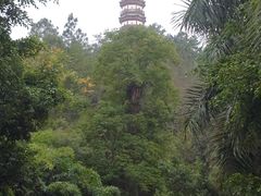 -分塔山省级森林公园