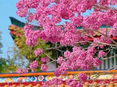 -天竺岩寺