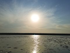 -南汇嘴观海公园