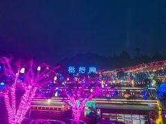 -枇杷园食为鲜火锅(南山店)