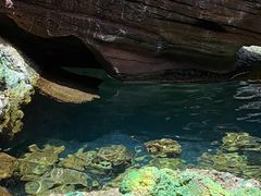 -长鹿旅游休博园