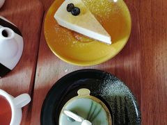-猫咖时代(中山亭店)