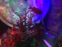 -沈阳海洋探索中心