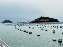 -枸杞岛