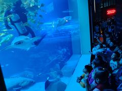 -太平洋海底世界