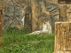 -杭州野生动物世界