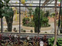 -南宫五洲植物乐园