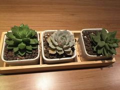 -必胜客(花舞大唐博物馆店)