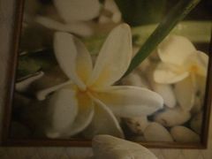 -东方之珠洗浴休闲广场(和平店)