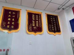 -利又安动物医院··老年病·猫科犬科·中兽医