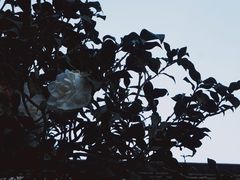 -中山詹园