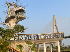 -芒洲湿地公园