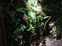 -BODHI SOCIETY足疗(燕郊国道店)