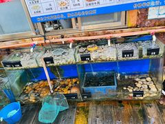 -蓝湾碧波·老字号·疍家非遗海上餐厅