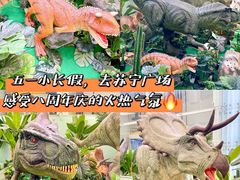 -苏宁广场·城市奥特莱斯(天府立交店)