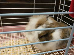 -乐宠宠物店(世纪金源店)