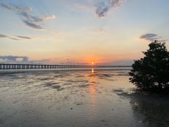 -宝安西湾红树林湿地公园