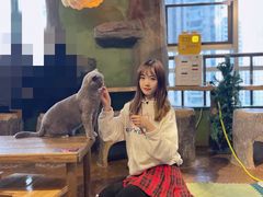 -猫猫幼稚园·撸猫·桌游·电玩