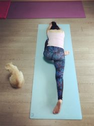 -齐伽生活馆·瑜伽·普拉提·阿育吠陀