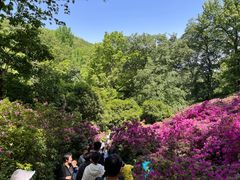 -南山风景名胜区