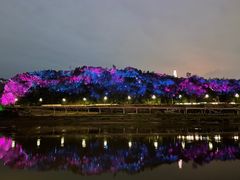 -中国宜宾·长江地标广场