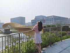 -南汇嘴观海公园